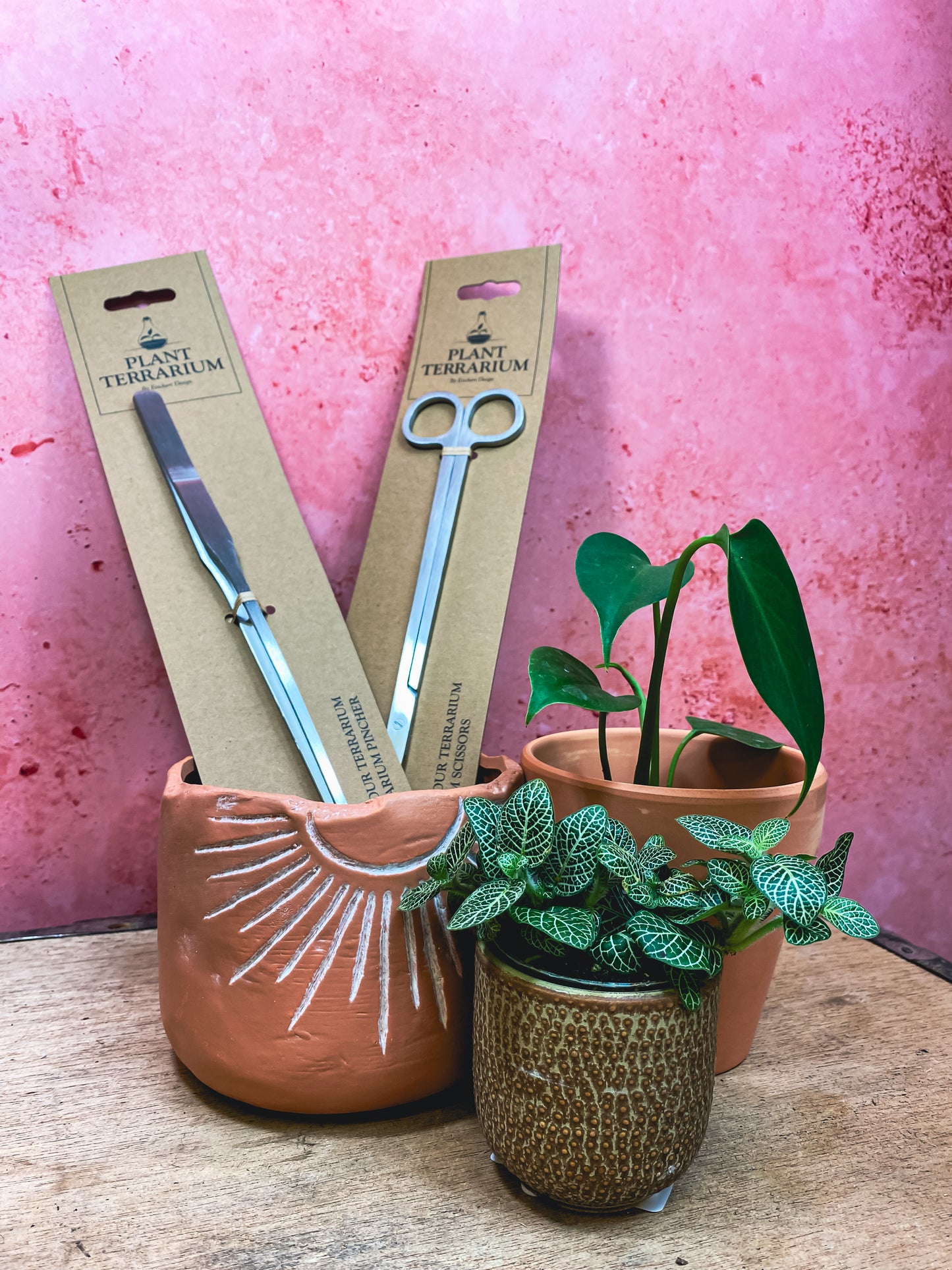 Plant Terrarium Long Tweezers