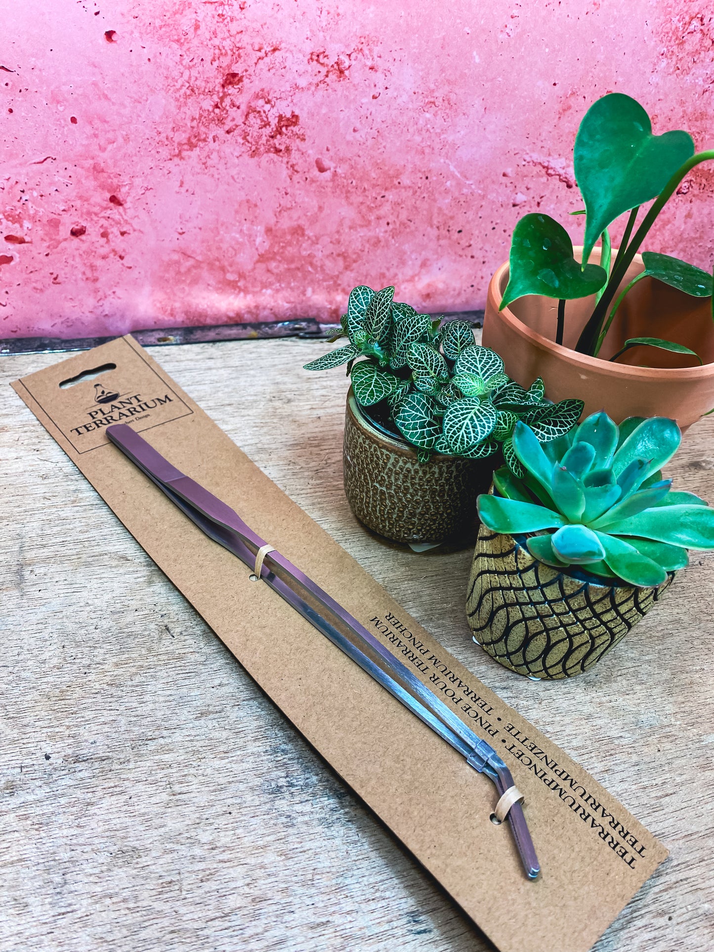 Plant Terrarium Long Tweezers
