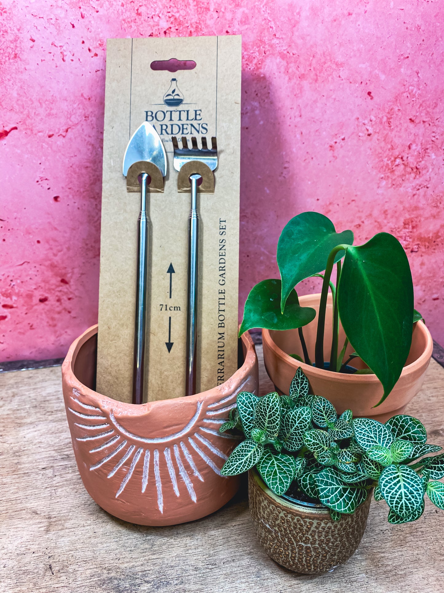 Bottle Gardens Terrarium Tools