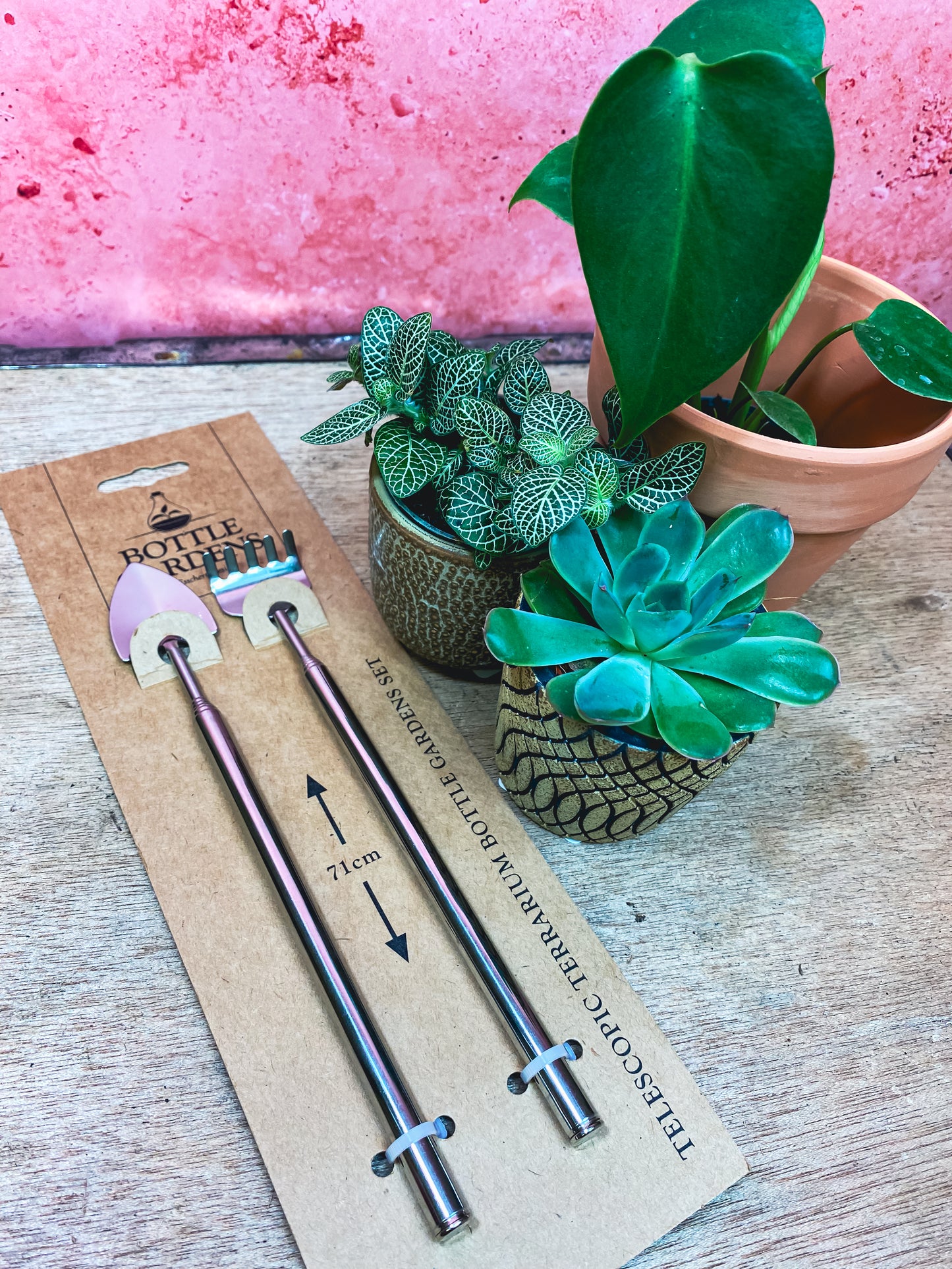 Bottle Gardens Terrarium Tools