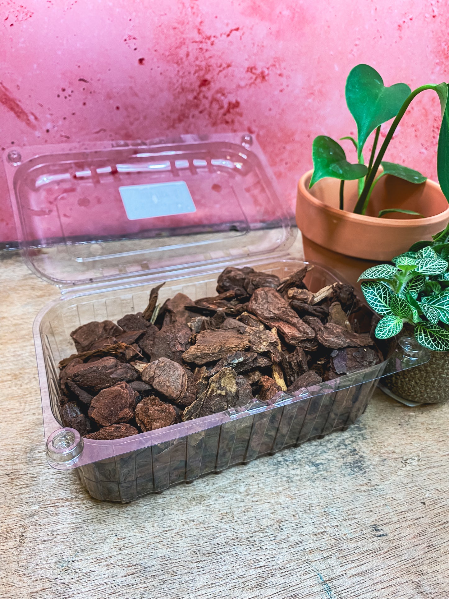 Bark Chippings