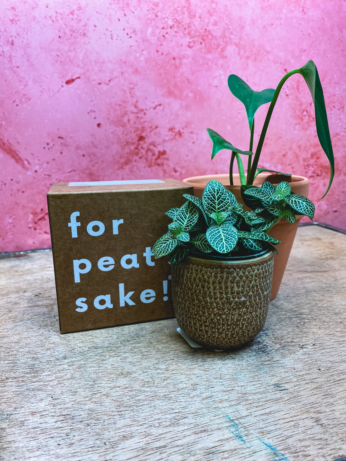 For Peat's Sake