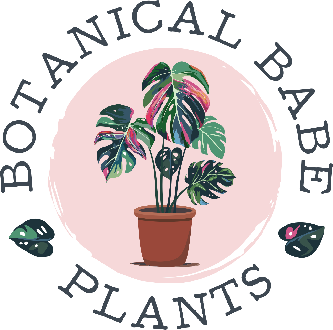 Botanical Babe Houseplants