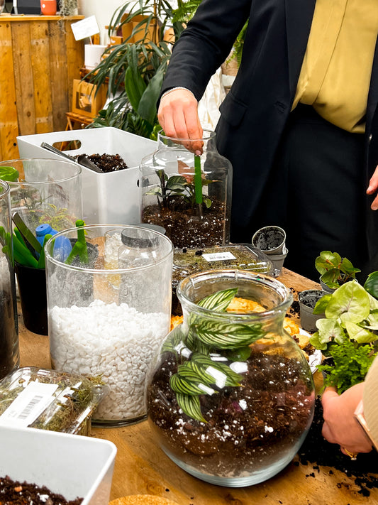 Terrarium Workshop