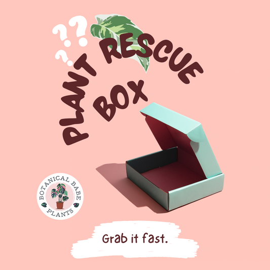 Plant Rescue Mystery Box