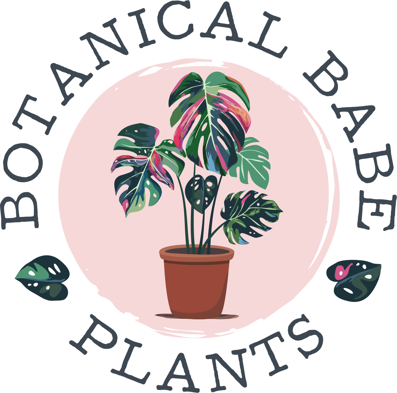 Botanical Babe Houseplant Gift Card