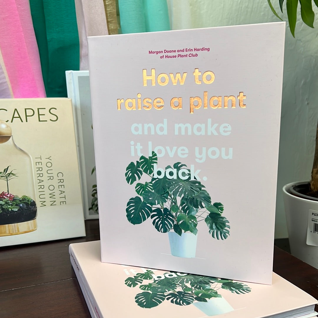 How To Raise A Plant & Make It Love You Back